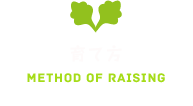 育て方